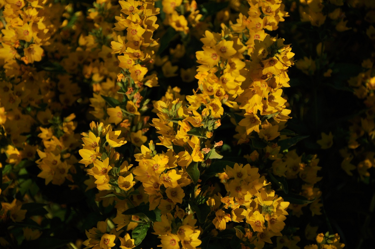 20100803-0100